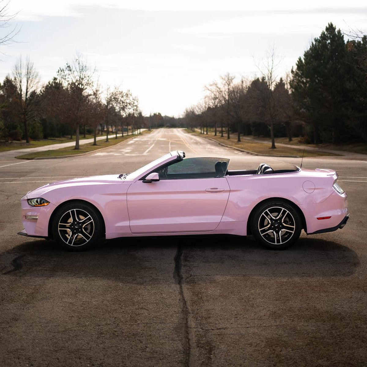 High Glossy Baby Pink Vinyl Wrap